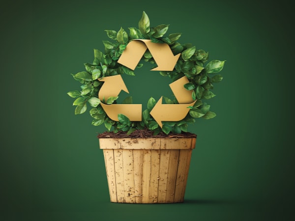 Eco friendly packaging